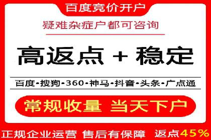 竞价广告的投放策略与效果评估——以一成功企业为例